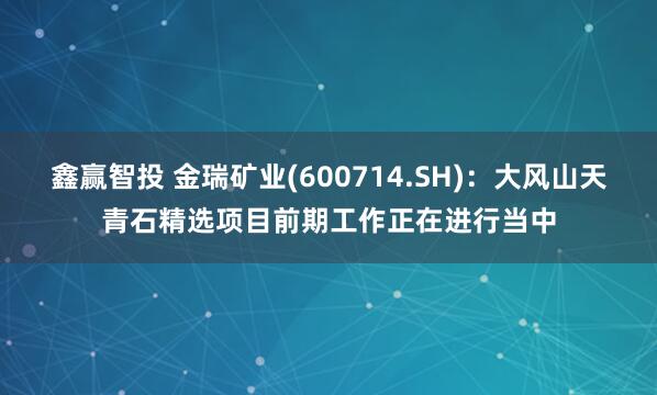 鑫赢智投 金瑞矿业(600714.SH)：大风山天青石精选项目前期工作正在进行当中