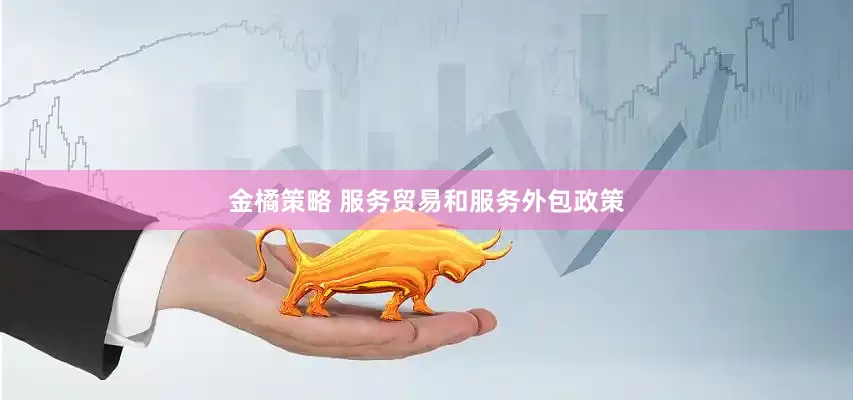 金橘策略 服务贸易和服务外包政策