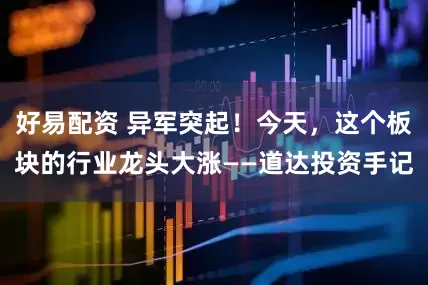 好易配资 异军突起！今天，这个板块的行业龙头大涨——道达投资手记