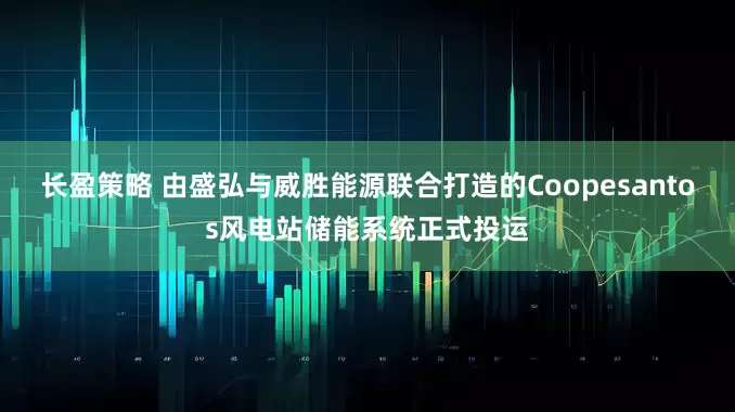 长盈策略 由盛弘与威胜能源联合打造的Coopesantos风电站储能系统正式投运