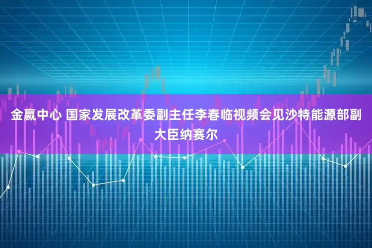 金赢中心 国家发展改革委副主任李春临视频会见沙特能源部副大臣纳赛尔