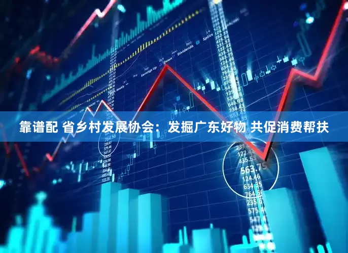 靠谱配 省乡村发展协会：发掘广东好物 共促消费帮扶